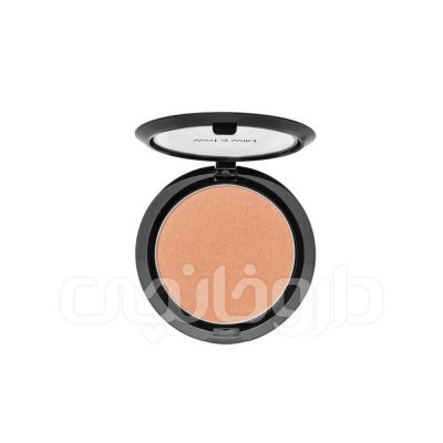 رژگونه وت اند وایلد مدل کالر آیکون